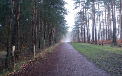 Why You Feel Stuck – And 5 Science-Backed Ways to Break Free