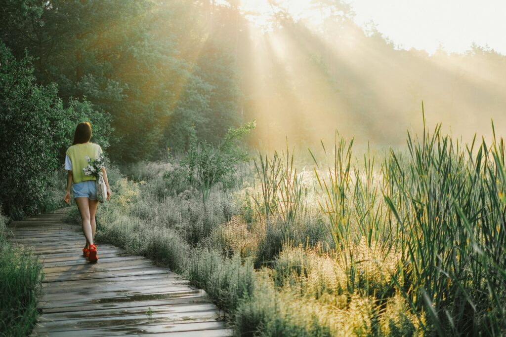 Person walking along a sunlit wooden path surrounded by soft greenery, symbolising clarity and gentle forward movement.