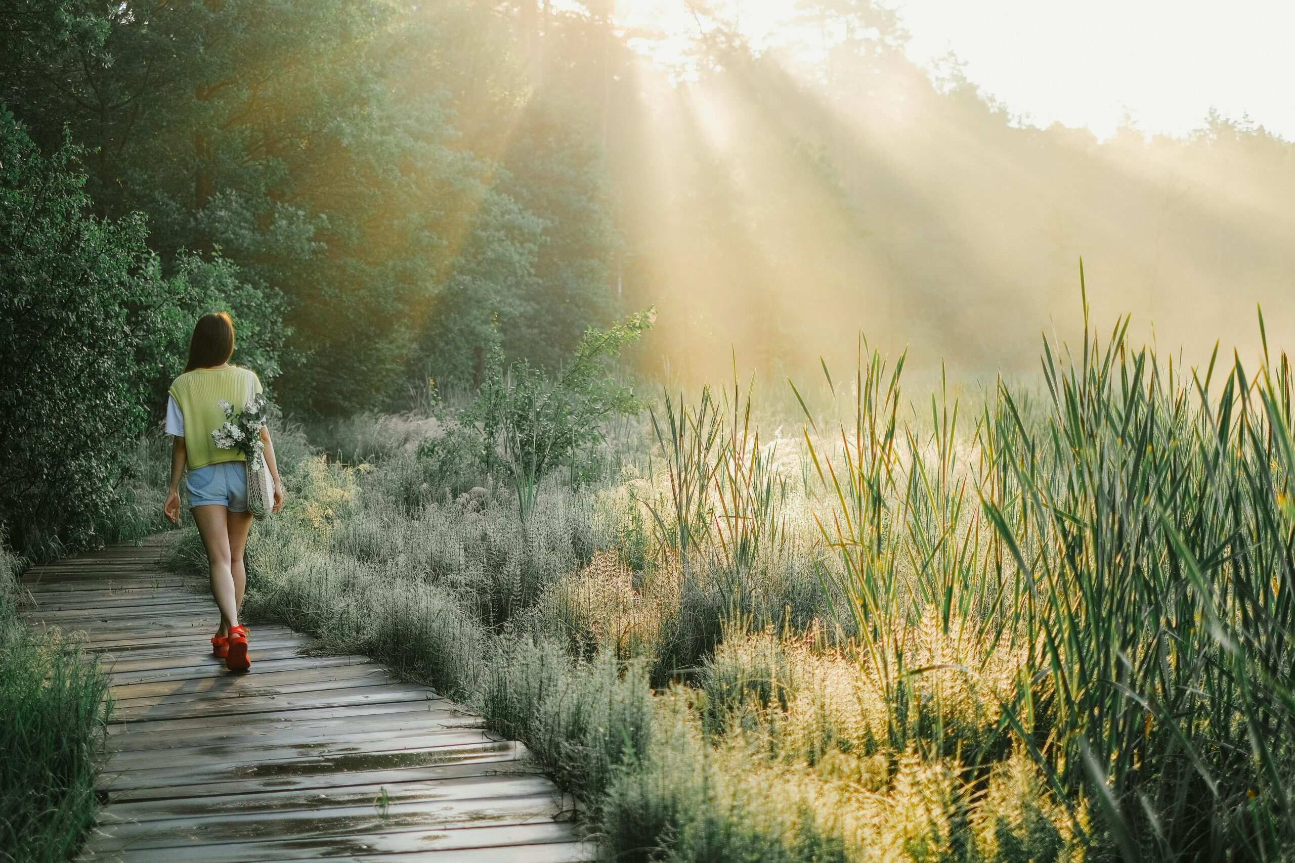 Person walking along a sunlit wooden path surrounded by soft greenery, symbolising clarity and gentle forward movement.